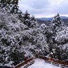 雪化粧の木々