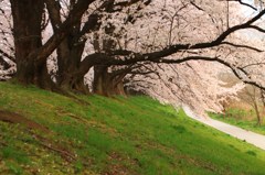 斜面を包み込む