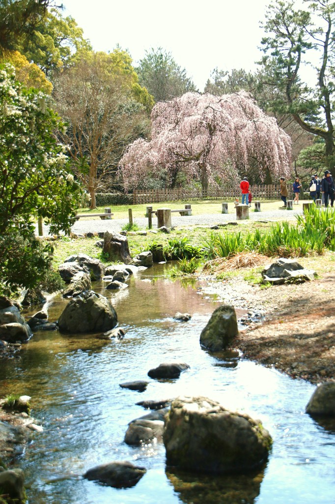 花咲き水温む