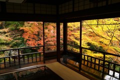 錦　秋