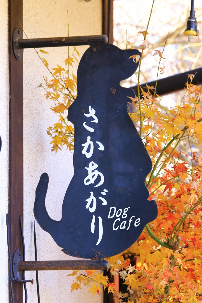 Dog　Cafe