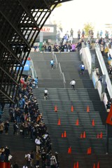人はなぜ駆け上る？
