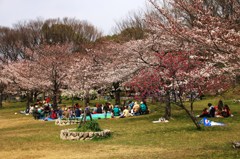 町内の絆