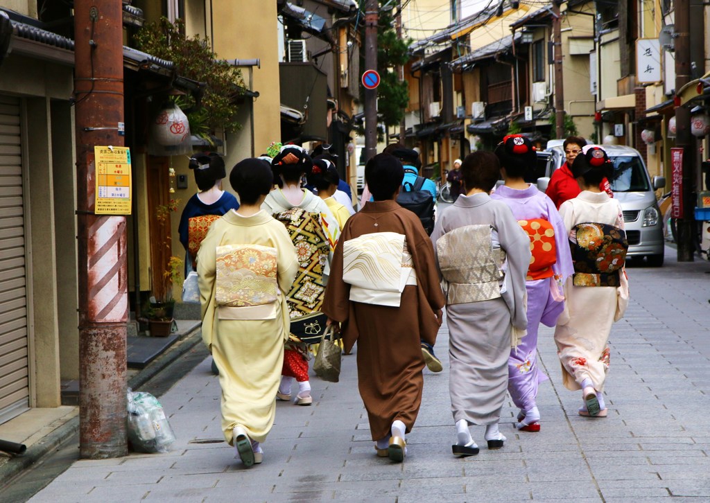 花街暮れの風物詩”事始め”宮川町・後姿