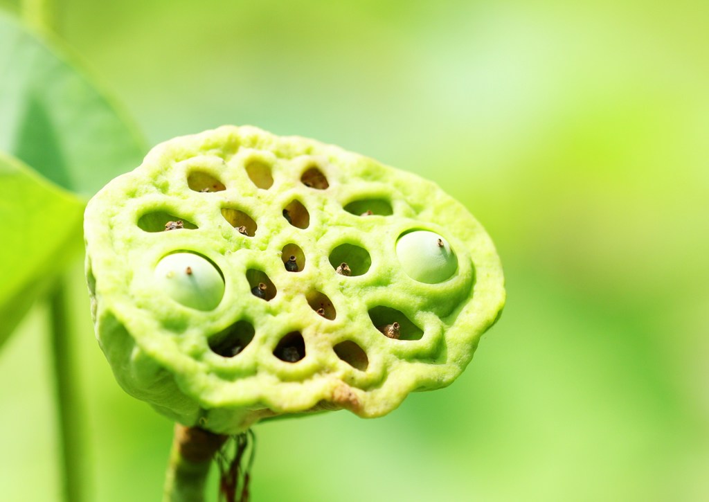 E T