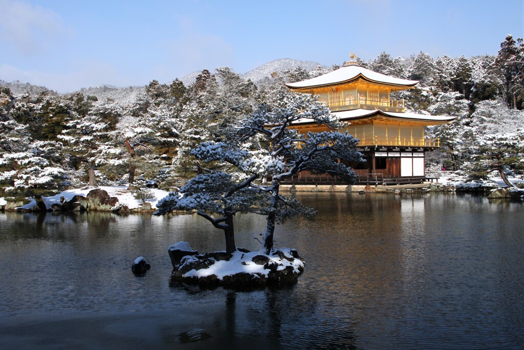 年賀状 ”雪の金閣寺”