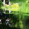 シニアの溜まり場
