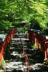 木洩れ日の参道