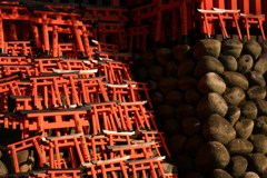 奉納の数