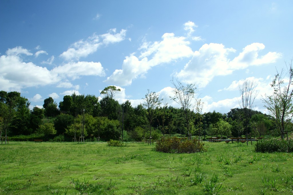 秋風吹く公園