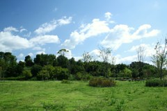 秋風吹く公園