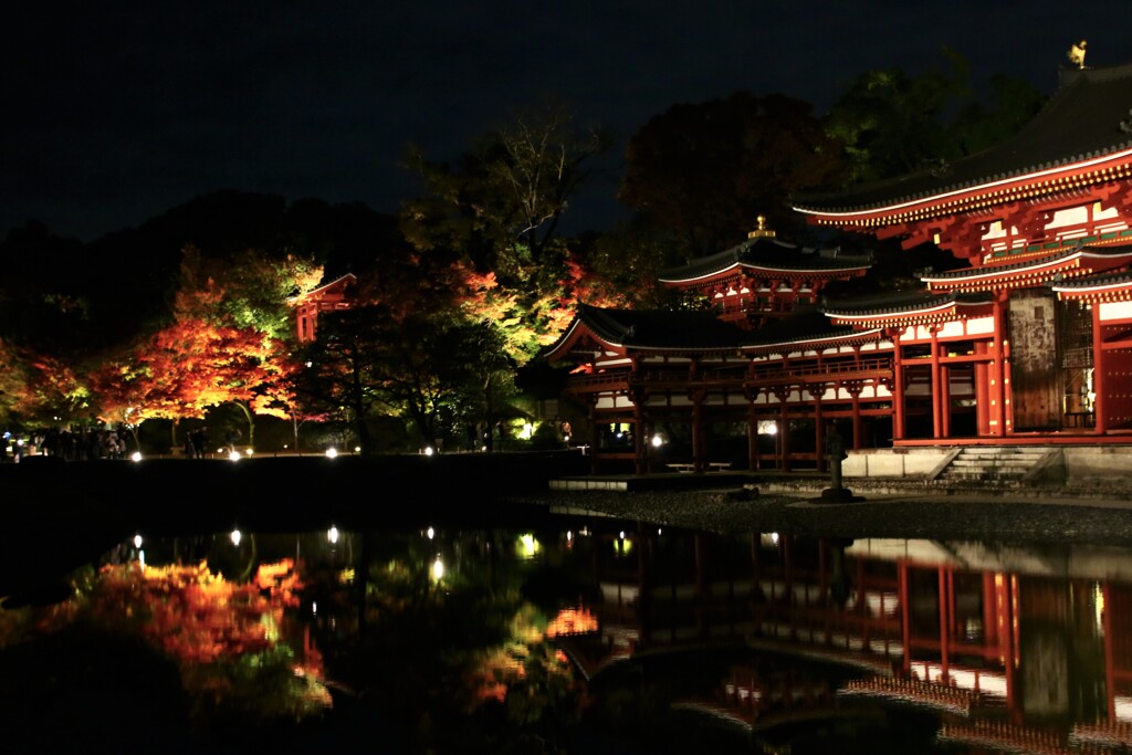 映り込み夜景