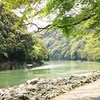 新緑嵐山