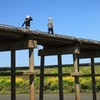 ＊流れ橋＊復旧開通③