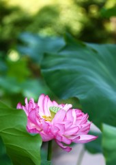 ラスト " 乱 "