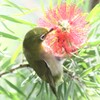 夏ジローその四