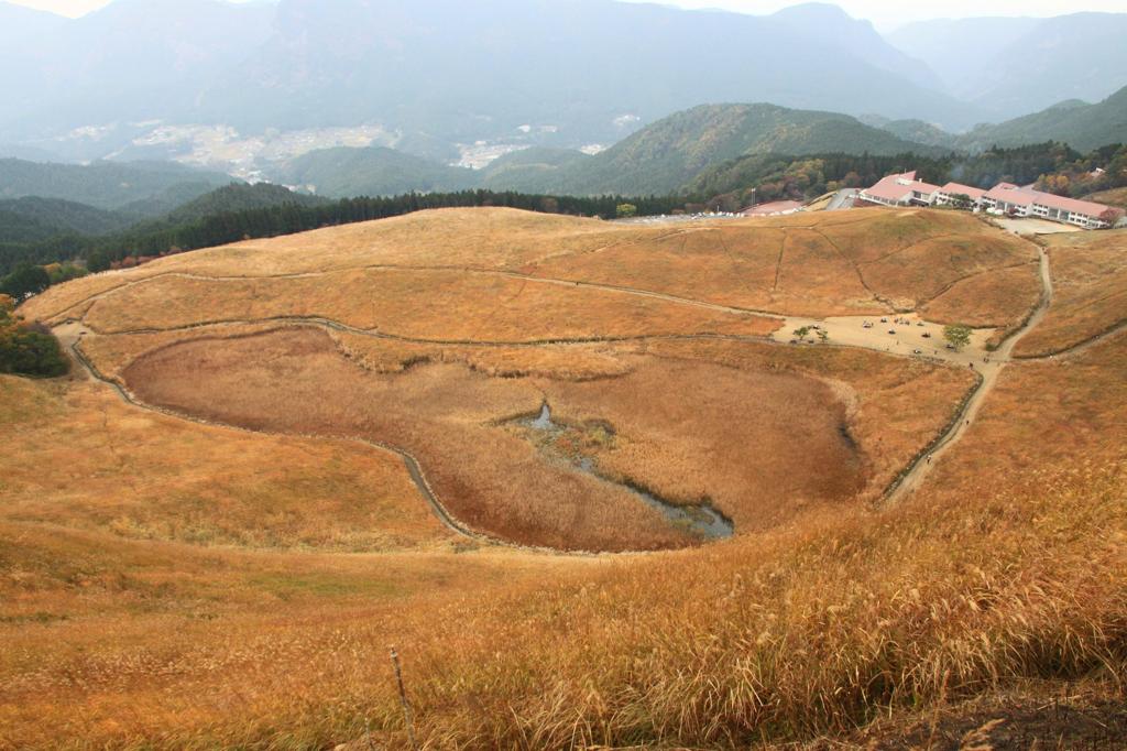 すすき原野