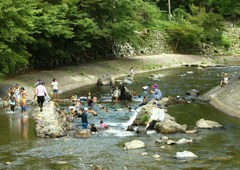 夏休み＊涼を求めて