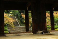 色づき始めた紅葉＊知恩院＊