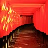 朝日の射しこむ千本鳥居