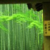 竹の寺