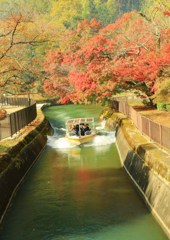 秋陽を浴びて