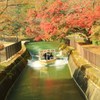 秋陽を浴びて