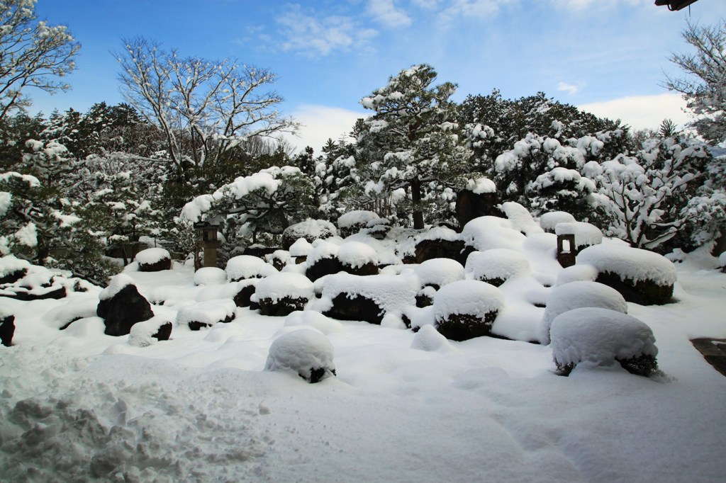 雪の庭