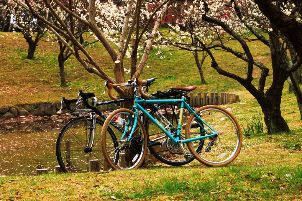 ☆白梅を　ながめて憩う　サイクル車