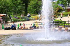 夏　日