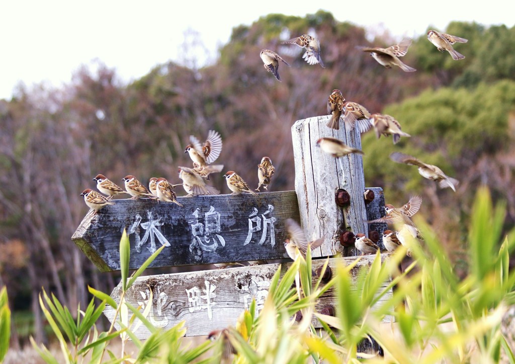 さぁ～休憩だよ！