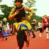 参道を走るコスプレ