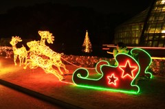 Merry  Christmas ♡