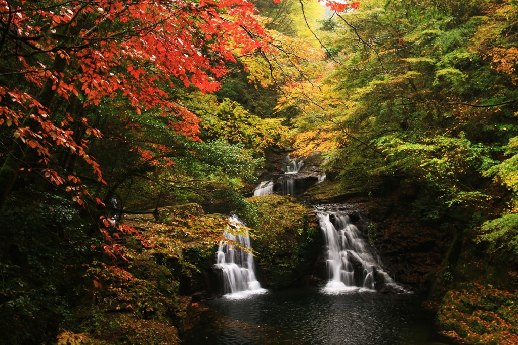 雨の滝