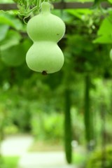 実りの秋