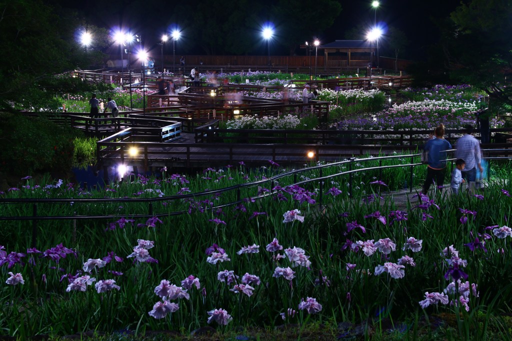涼風花園