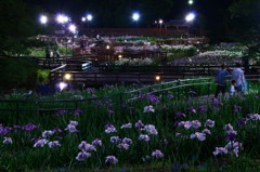 涼風花園
