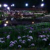 涼風花園