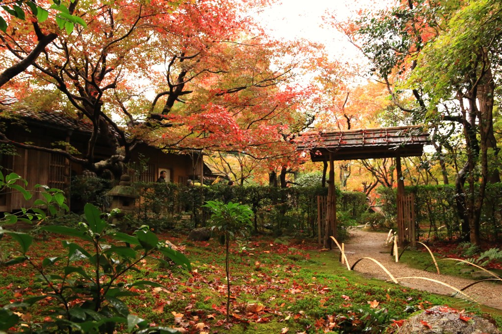 嵯峨の小庵