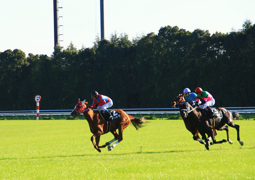 跳ぶ人馬