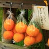 無農薬