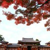 秋の鳳凰堂