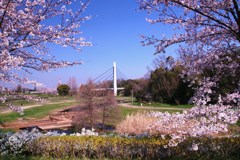 我が公園のシンボル