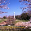 我が公園のシンボル