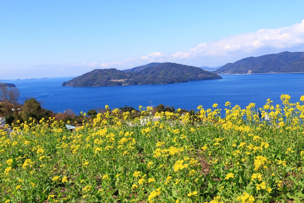 春の海