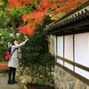 天授庵の白壁