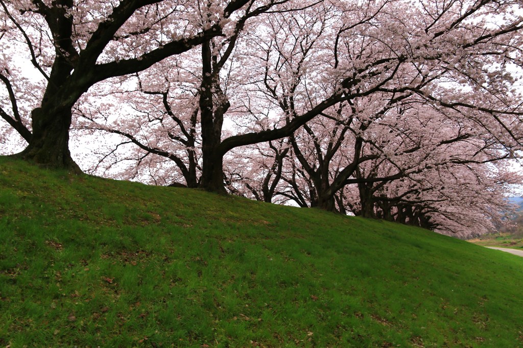 朝の深呼吸