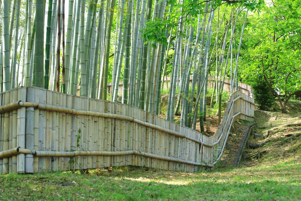 涼風竹林