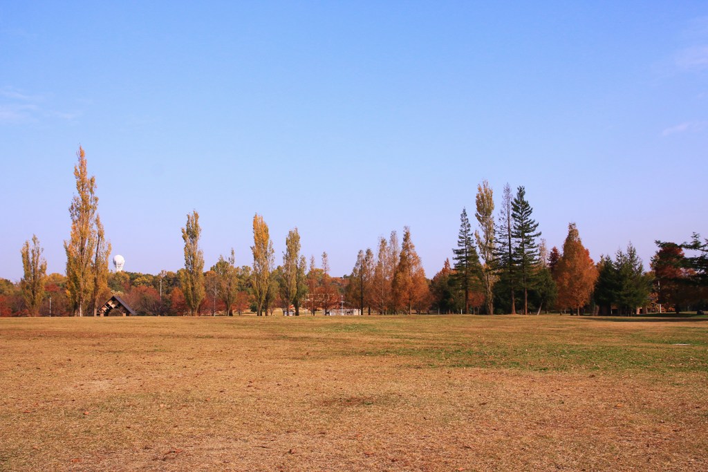 秋の公園①