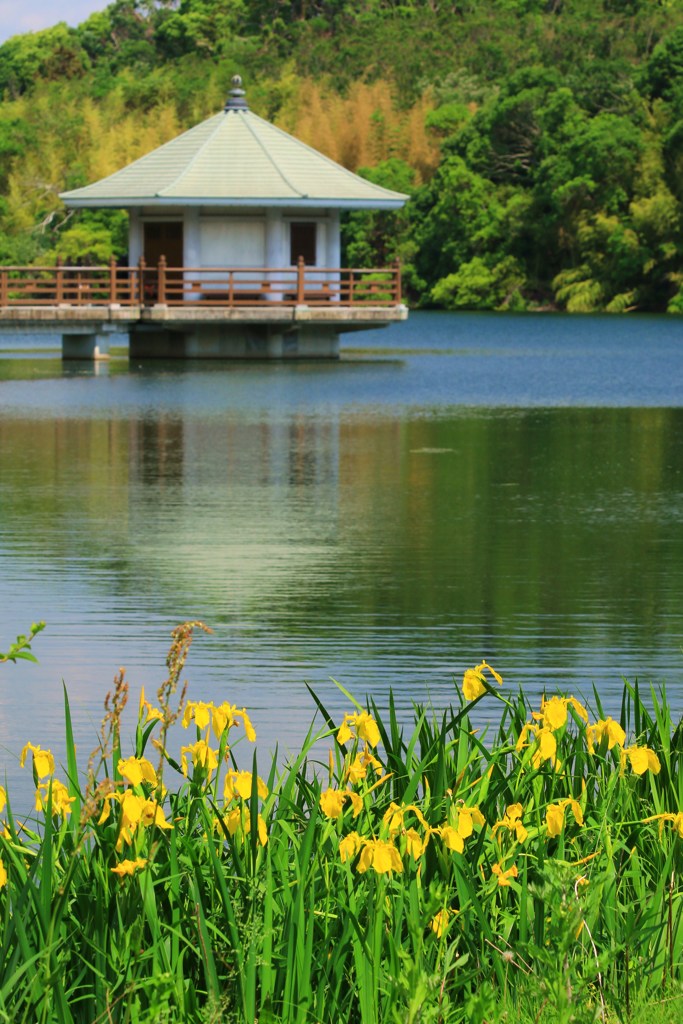 初夏の公園